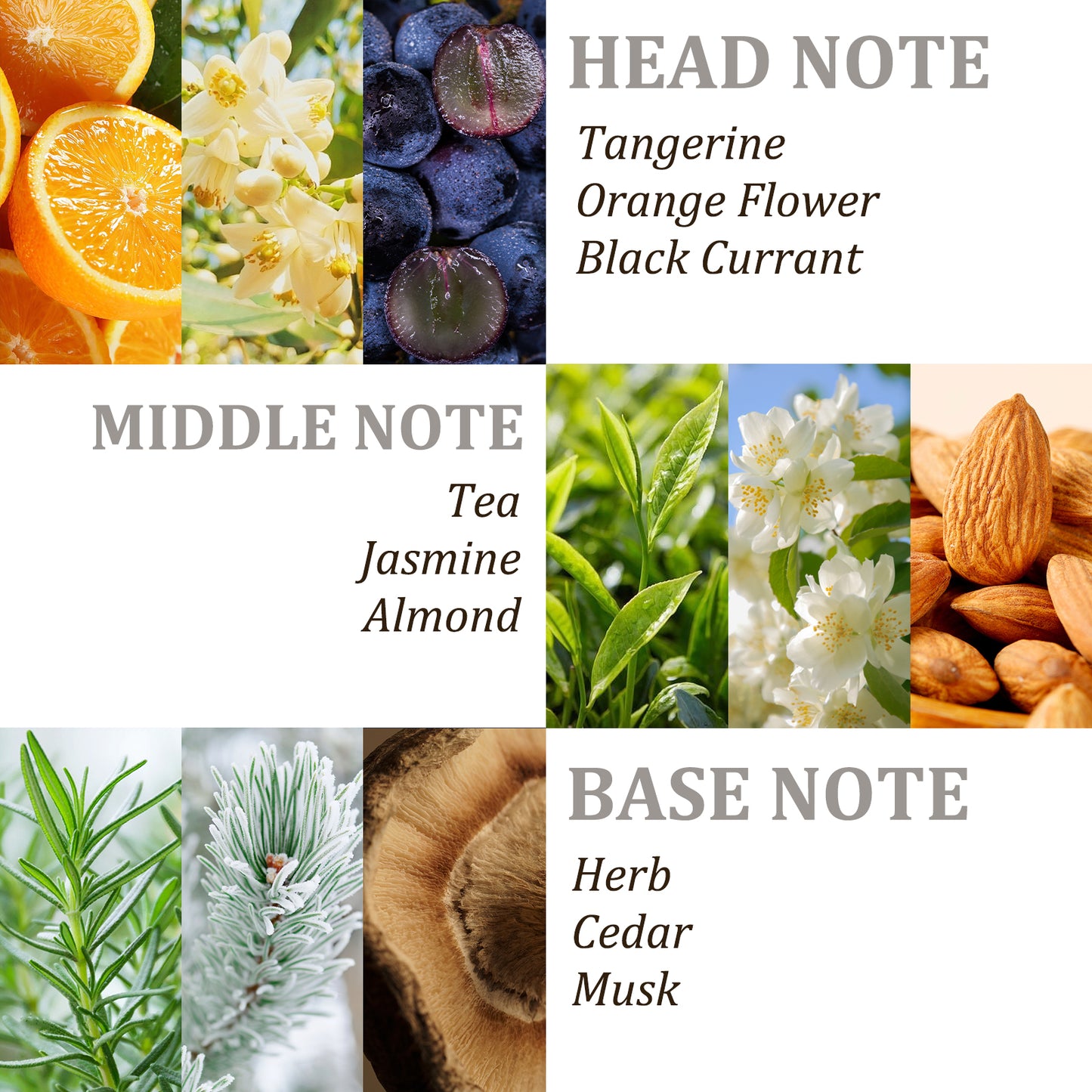 Tgideas® Collagen & Caviar Extract Deep Repair Hair Mask