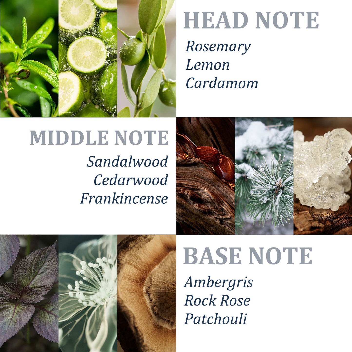 Tgideas Rosemary Shampoo-450ML