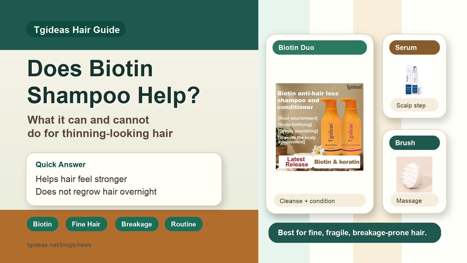 Tgideas biotin shampoo guide explaining what biotin shampoo can and cannot do for thinning-looking hair